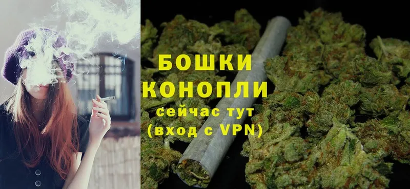 Бошки марихуана White Widow  Гдов 